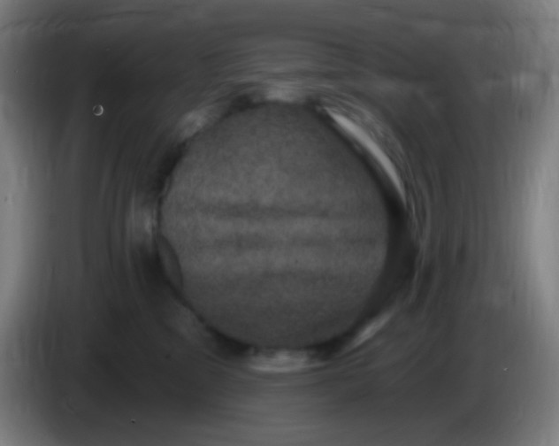 X0000085220329200703301709