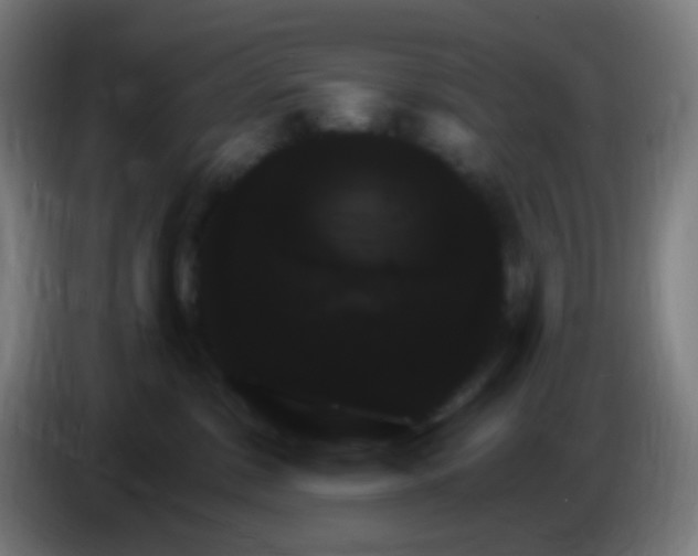 X0000085220331200703301709