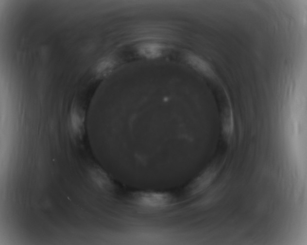 X0000085220332200703301709