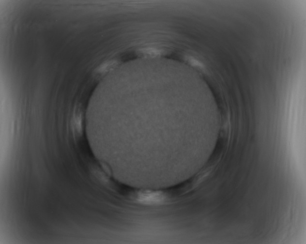 X0000085220334200703301709