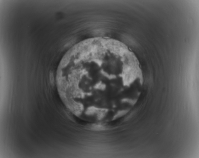 X0000085220335200703301709