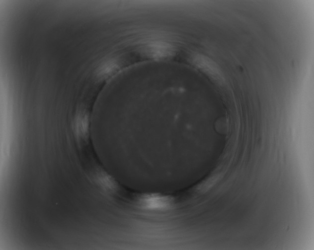 X0000085220336200703301709