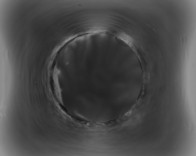 X0000085220337200703301708