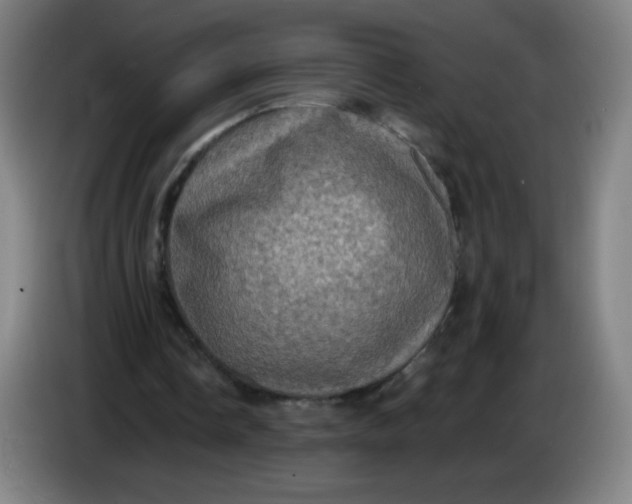 X0000085220338200703301708