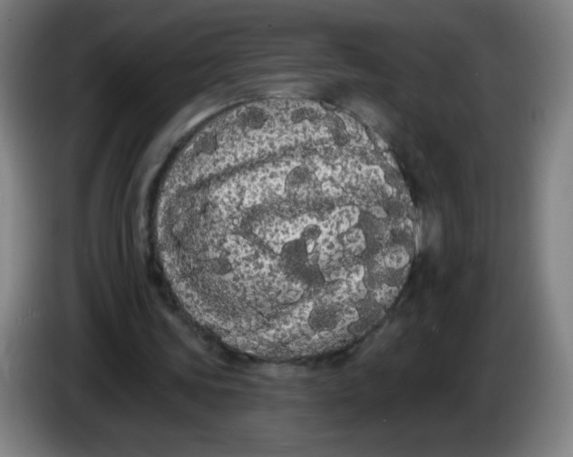 X0000085220339200703301708
