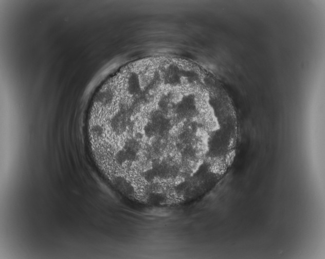 X0000085220341200703301708