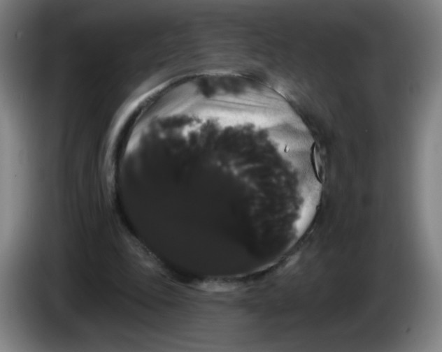 X0000085220343200703301708