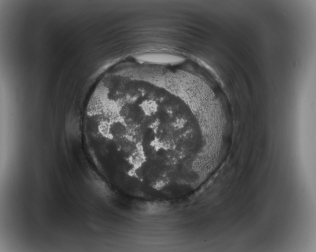 X0000085220345200703301708