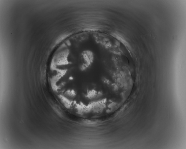 X0000085220346200703301708