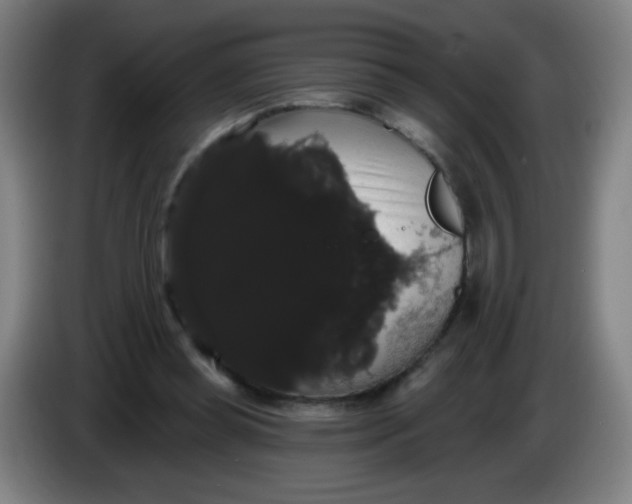 X0000085220349200703301708