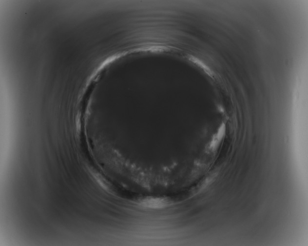 X0000085220350200703301708