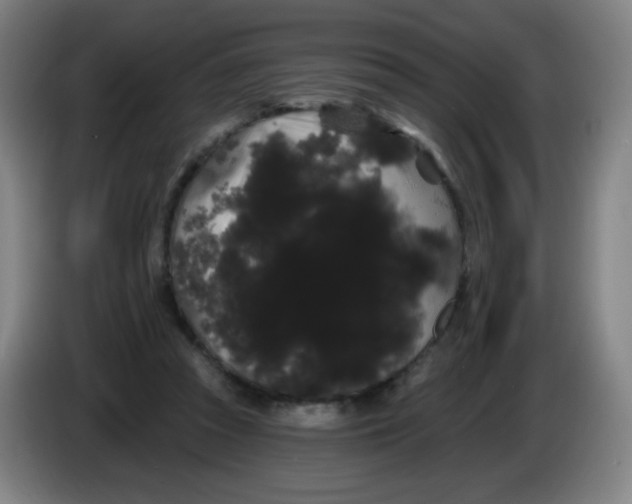 X0000085220353200703301708