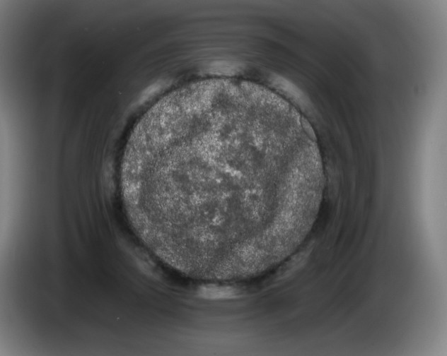 X0000085220354200703301708