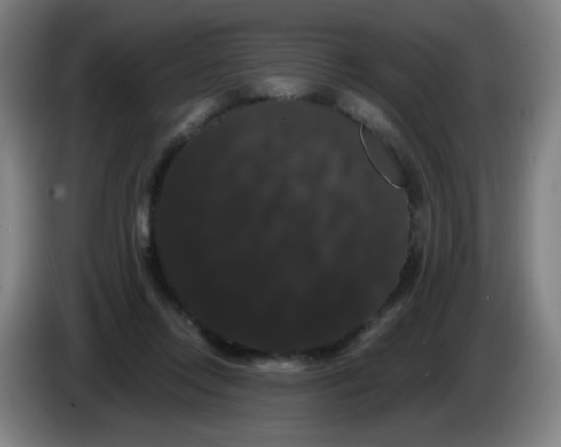 X0000085220358200703301708