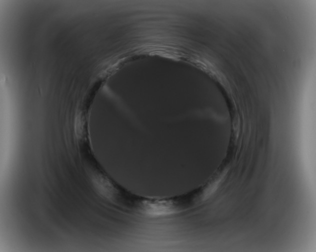 X0000085220359200703301708