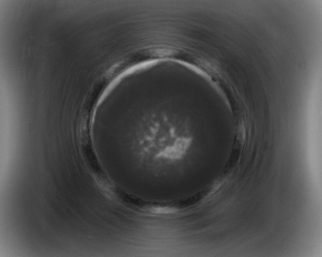 X0000085220360200703301708