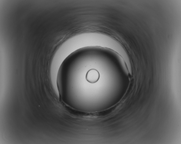 X0000085220362200703301708