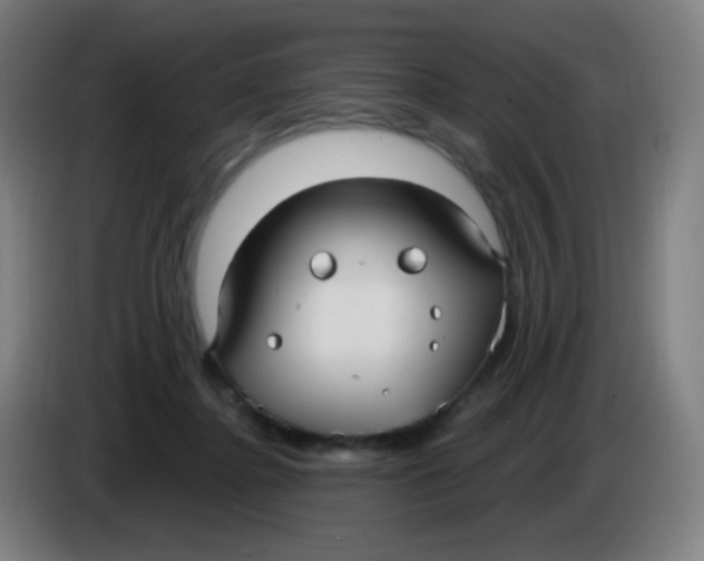 X0000085220364200703301708