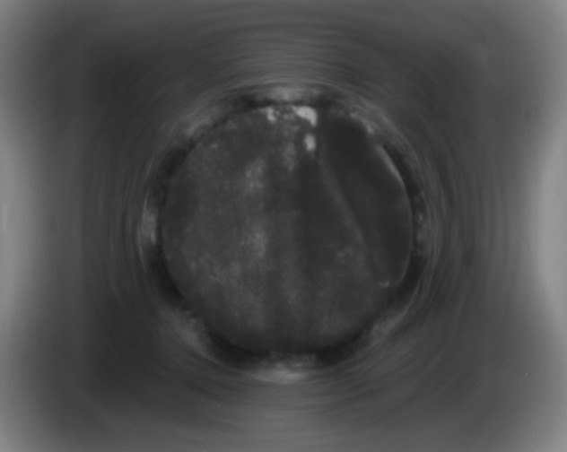 X0000085220368200703301708