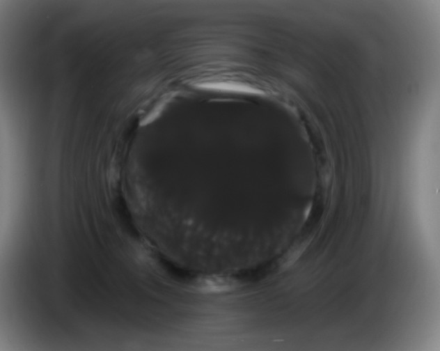 X0000085220372200703301708