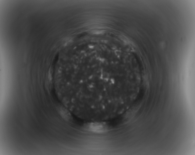 X0000085220373200703301708