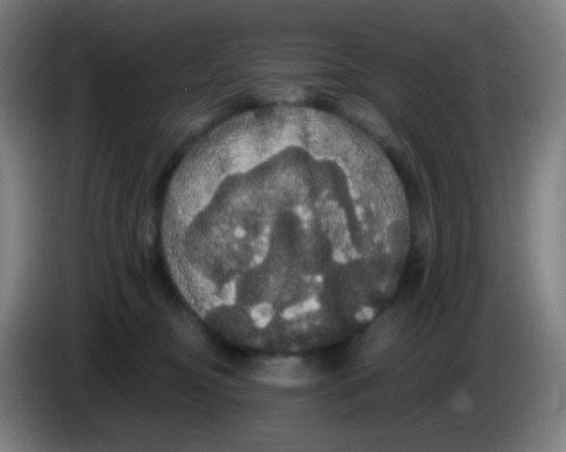 X0000085220374200703301708