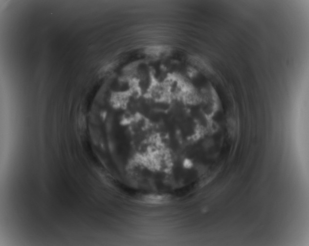 X0000085220375200703301708