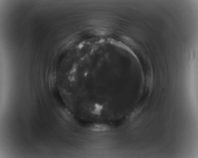 X0000085220376200703301708