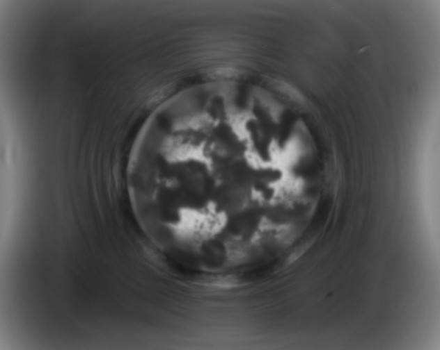 X0000085220377200703301708