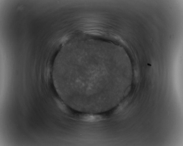 X0000085220379200703301708