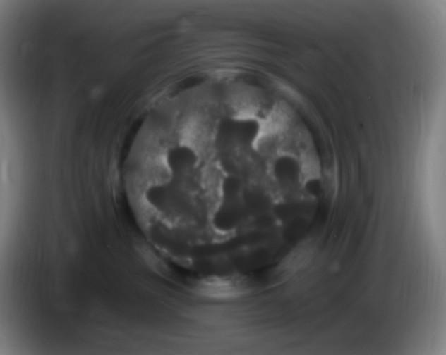 X0000085220381200703301708