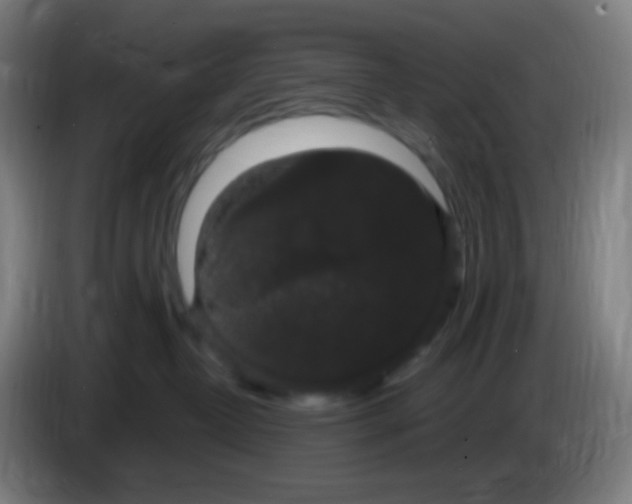X0000085220382200703301708