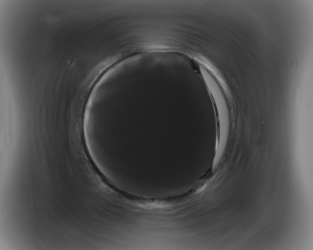 X0000085220385200703301708