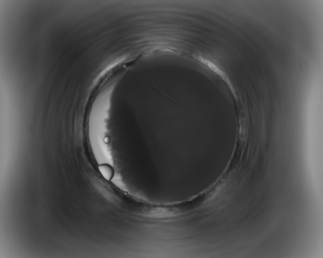 X0000085220390200703301708