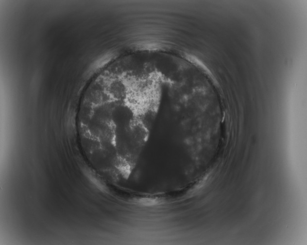 X0000085220394200703301708