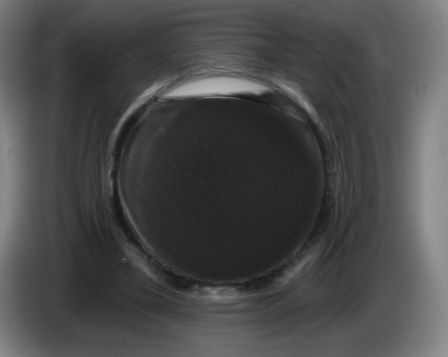 X0000085220395200703301708