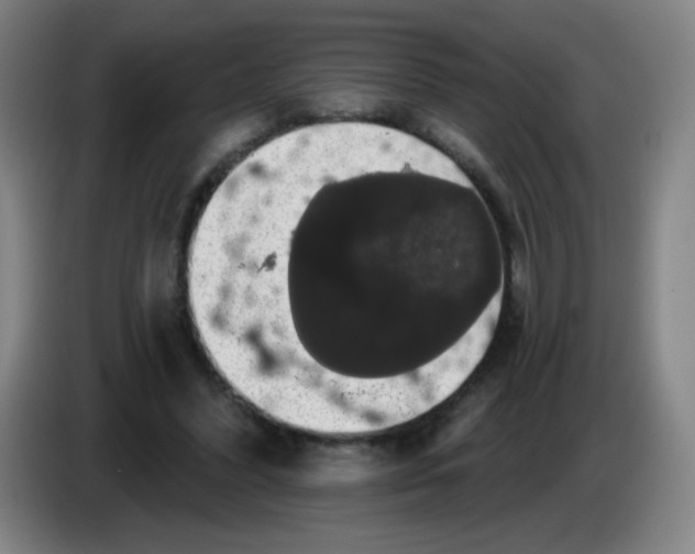 X0000085220396200703301708