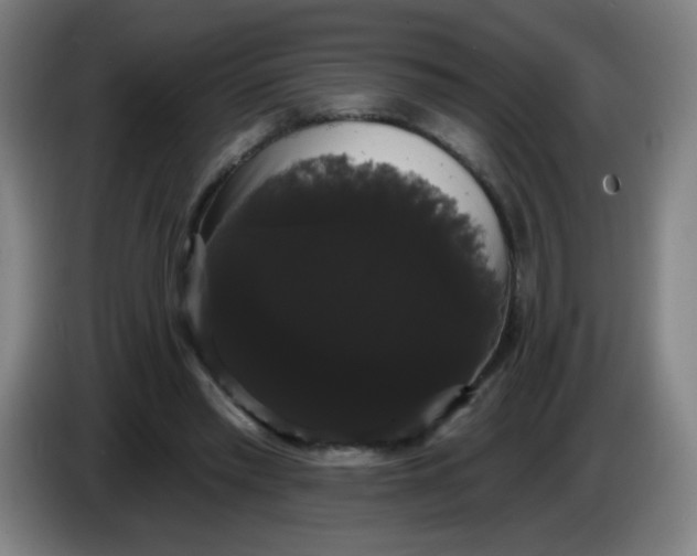 X0000085220397200703301708