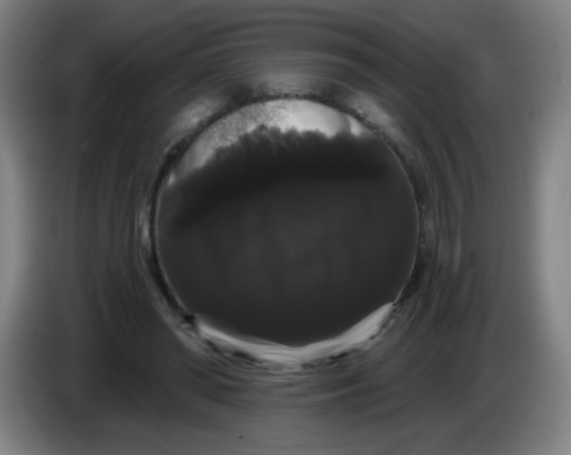 X0000085220398200703301708