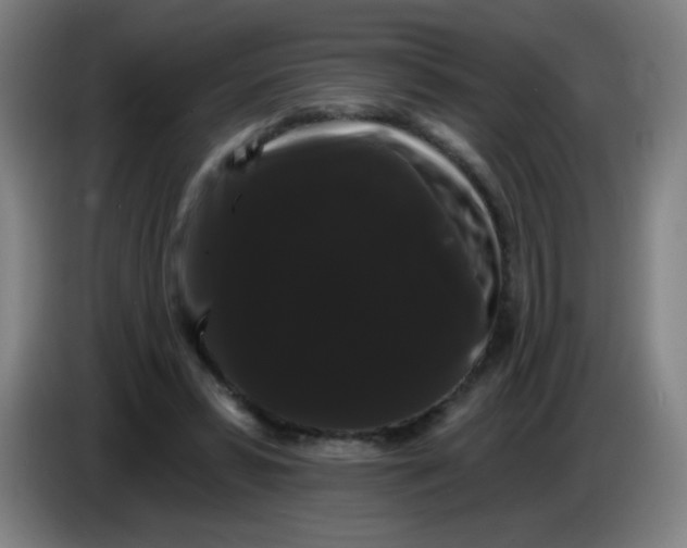 X0000085220399200703301708