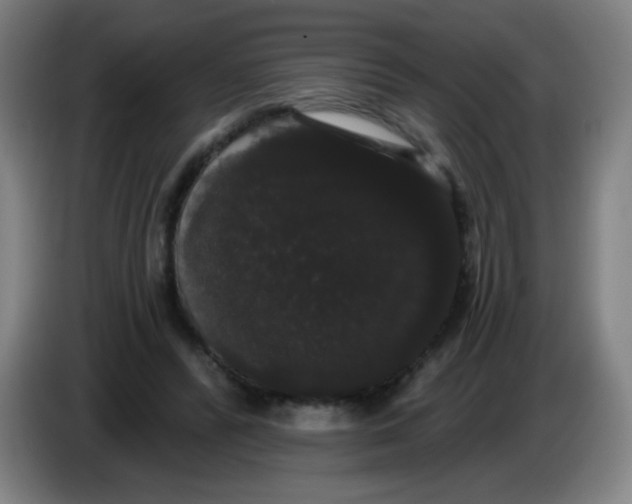 X0000085220400200703301708