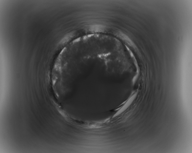 X0000085220401200703301708