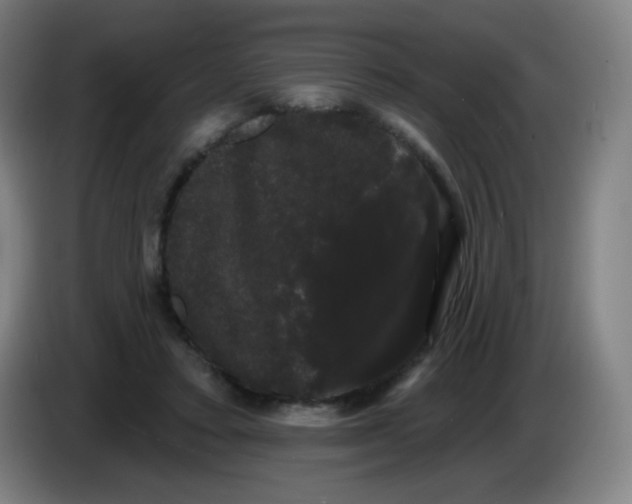 X0000085220403200703301708
