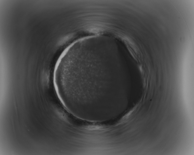 X0000085220404200703301708