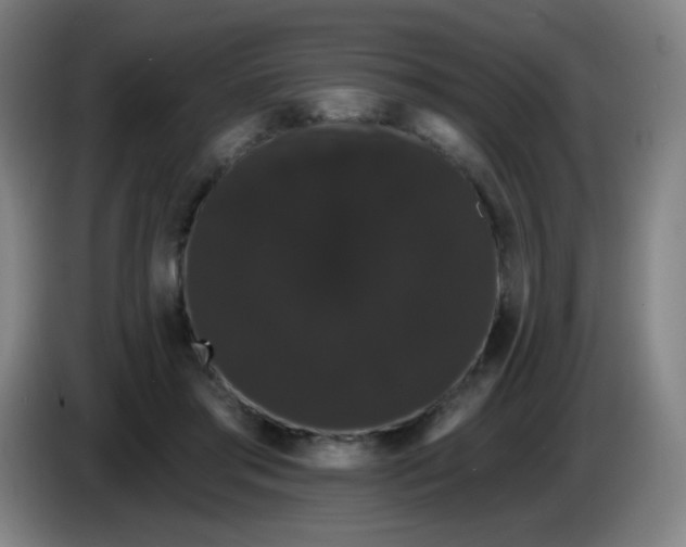 X0000085220405200703301708