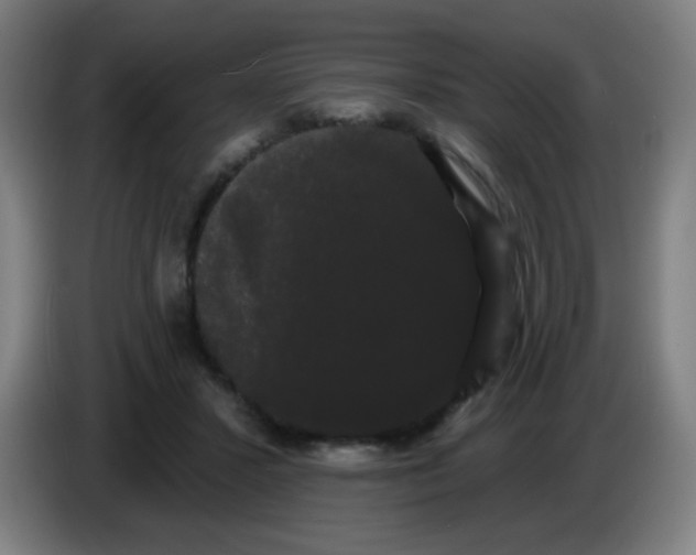 X0000085220407200703301708