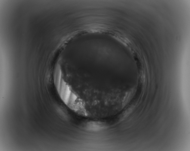 X0000085220408200703301708