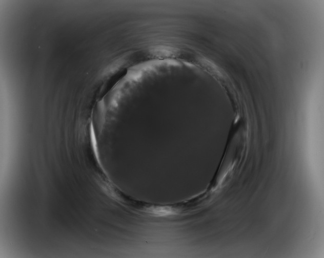 X0000085220409200703301708