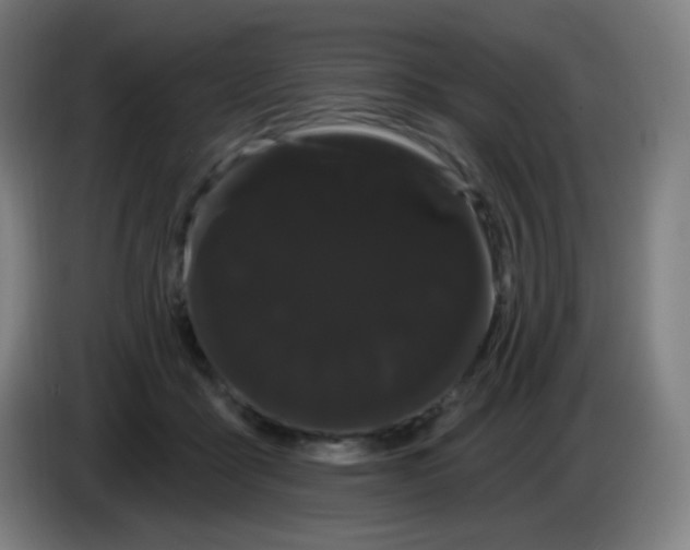 X0000085220411200703301707