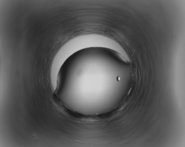 X0000085220412200703301707